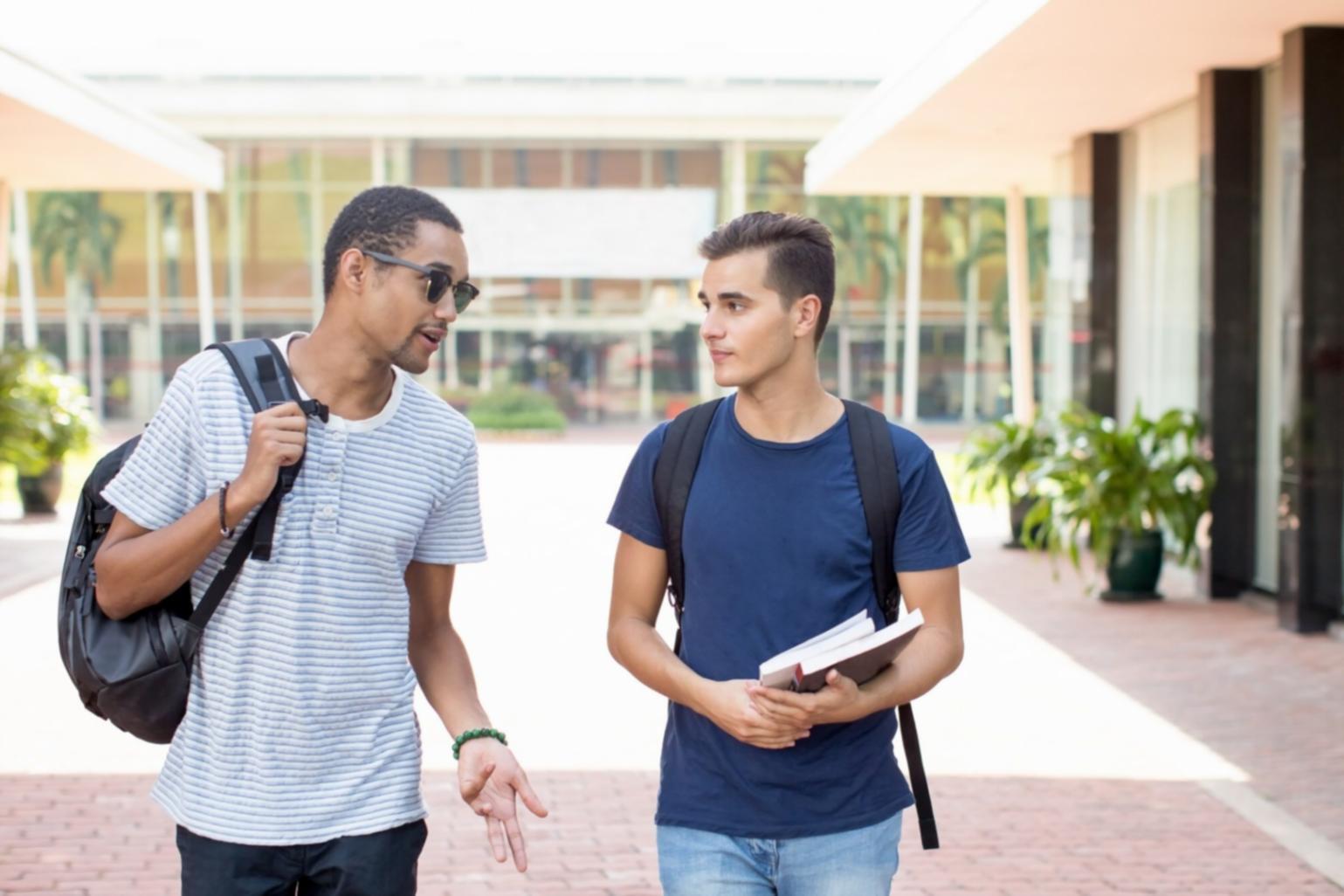 Analyse von Betrugsmuster-Erkennungssystemen